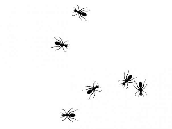 Chimera Ants | Hunterpedia | Fandom