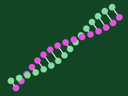 2D DNA Animation