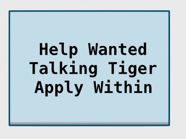 Talking Tiger Interview