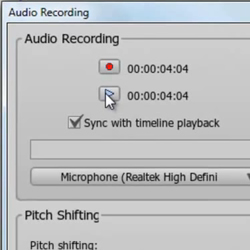 Integrated Audio Recording