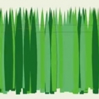 Making Animated Grass