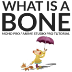 What is a bone